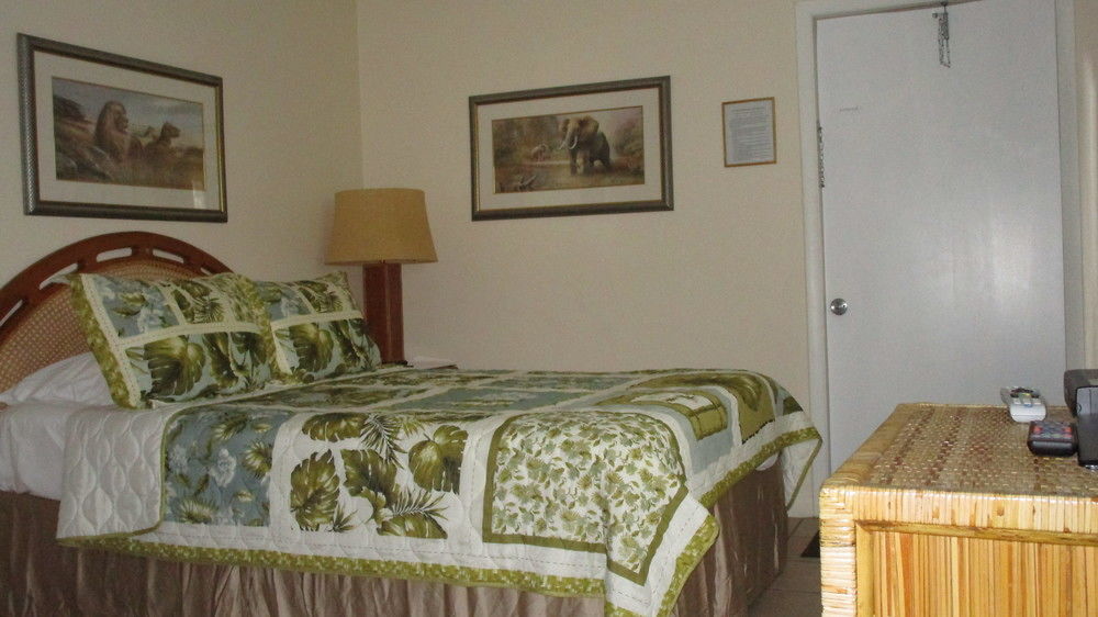 Seahorse Guesthouse 폼파노 비치 외부 사진