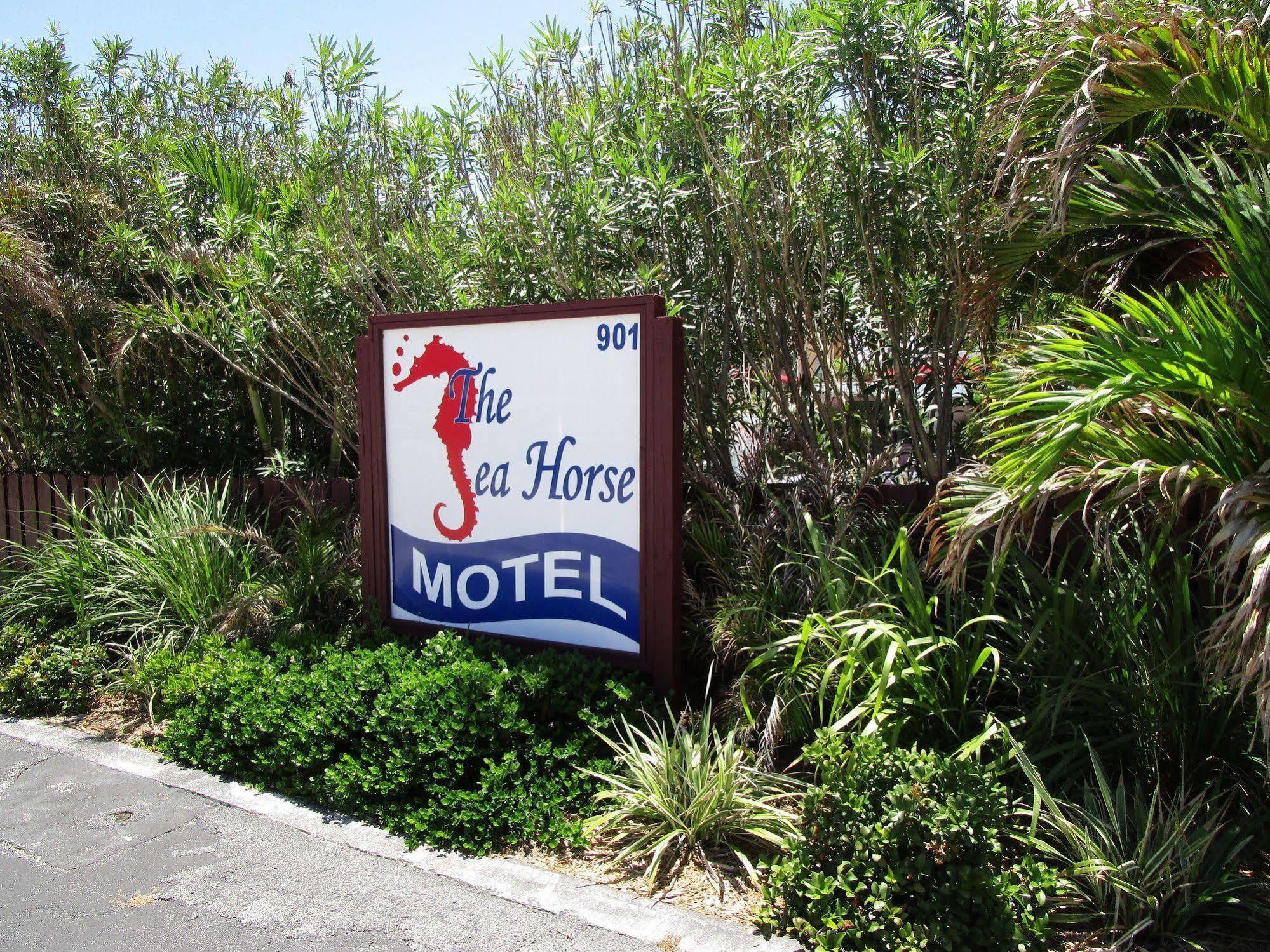 Seahorse Guesthouse 폼파노 비치 외부 사진
