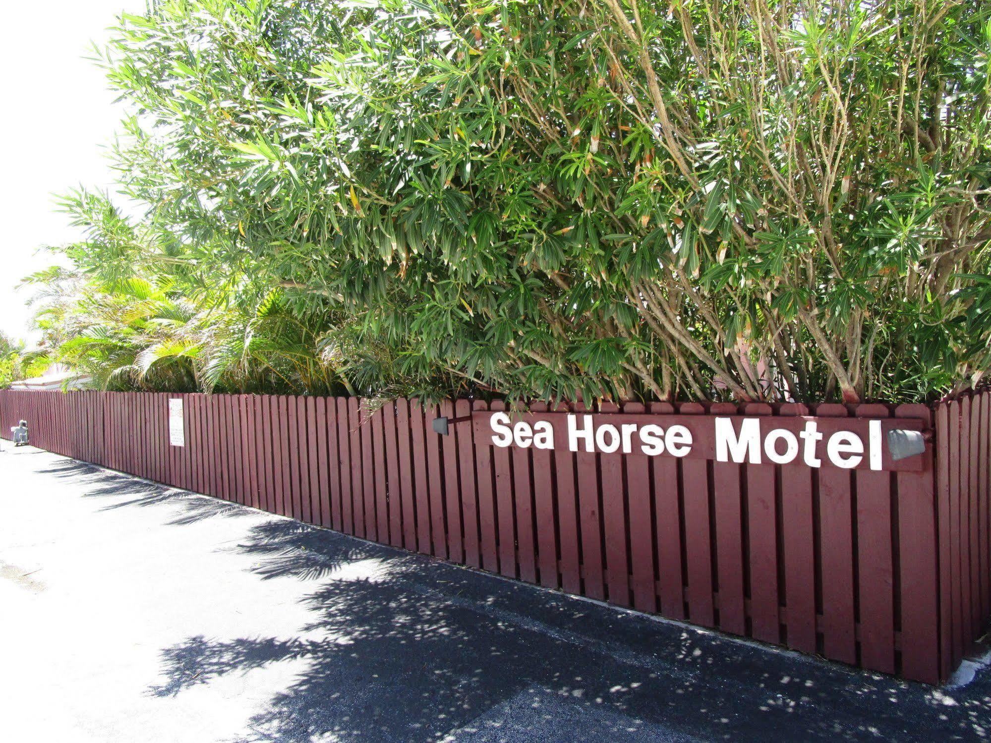 Seahorse Guesthouse 폼파노 비치 외부 사진